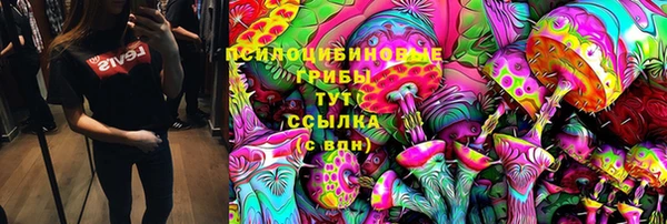 спайс Елабуга