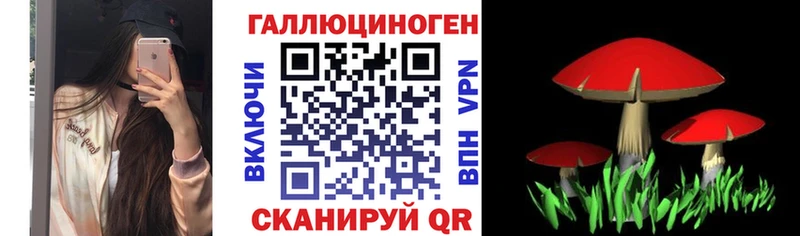 купить закладку  Чита  Псилоцибиновые грибы Cubensis 